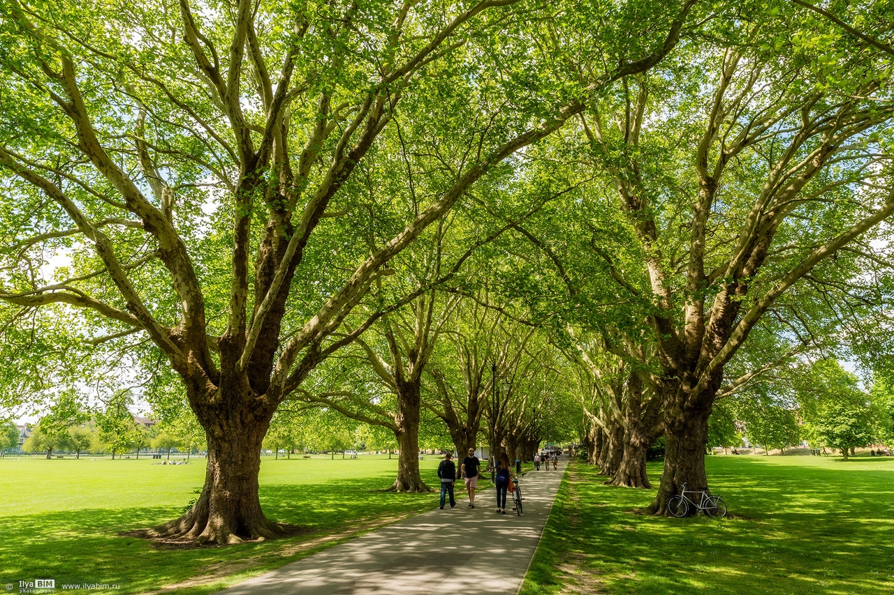 Cambridge